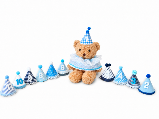 BIBI TEDDY BOX BOY #10