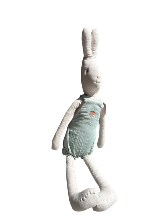 SEÑOR CONEJO